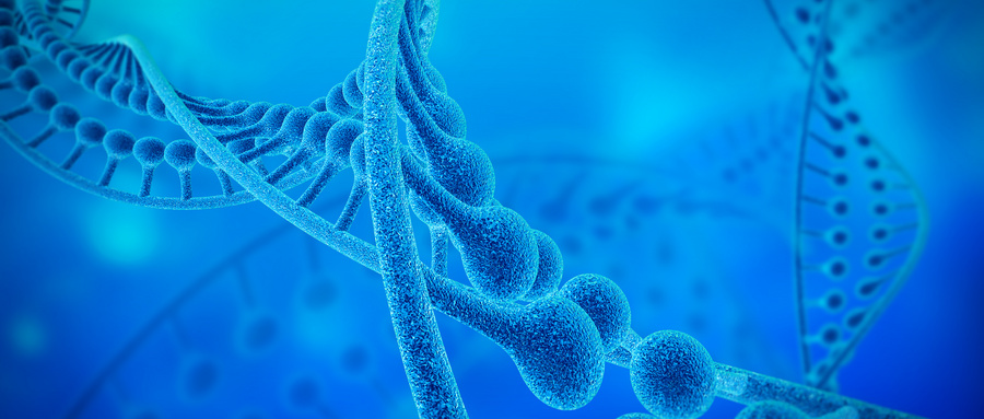 High Stability, High Affinity: The New Fluorescent Probe is Launched with Excitement! High Stability, High Affinity: The New Fluorescent Probe is Launched with Excitement!